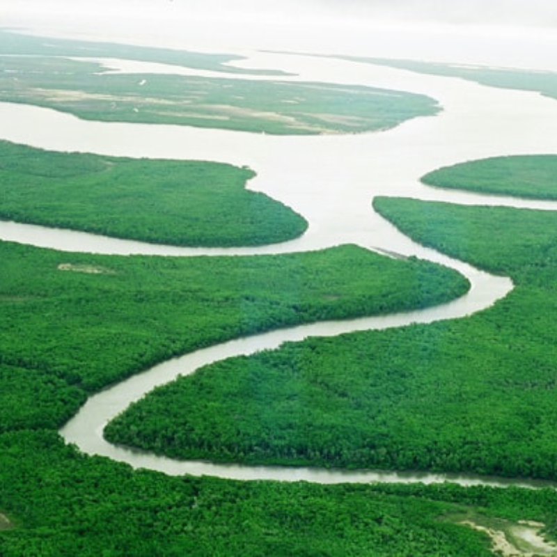 Imagem aérea de um rio sinuoso cortando uma vasta área de vegetação verde densa, formando curvas e ilhas naturais na paisagem.