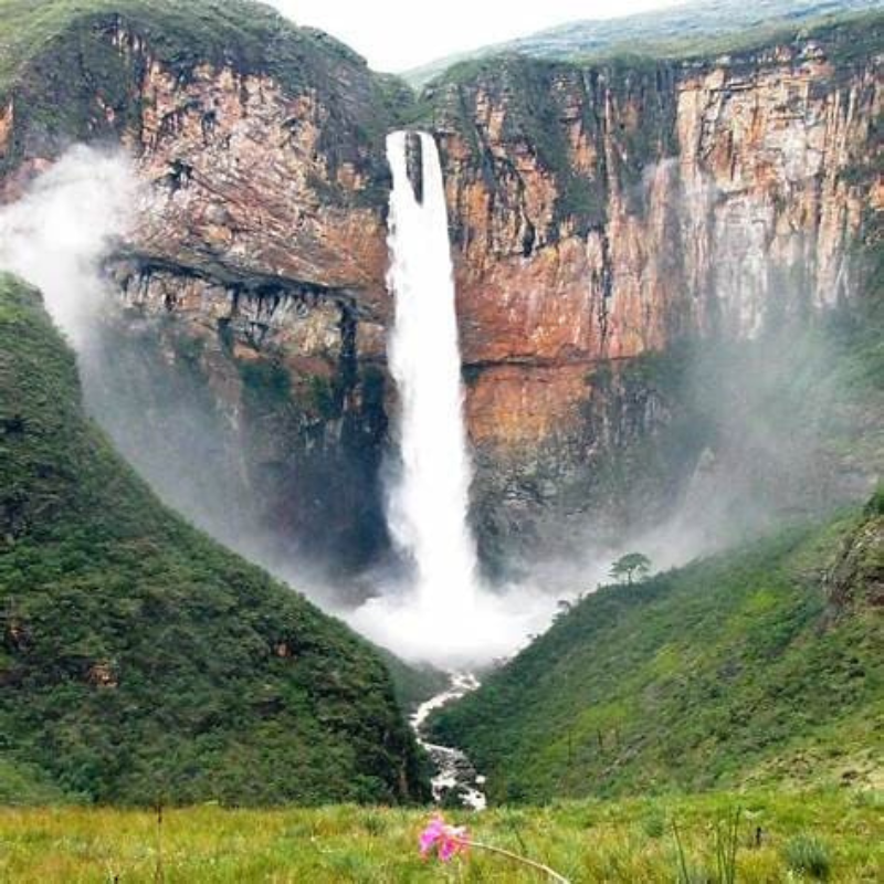 Cachoeira impressionante rodeada por natureza exuberante e vegetação verde, destacando-se na paisagem de mata atlântica, capturada em uma imagem vibrante.