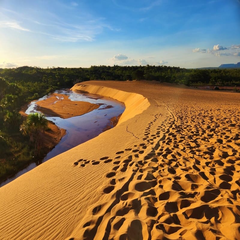 Imagem de um deserto com dunas de areia dourada e uma pequena corrente de água na lateral, sob céu azul com algumas nuvens, em uma paisagem natural.