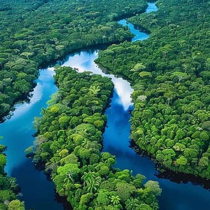 Imagem aérea de uma floresta tropical exuberante com rios serpenteantes, destacando a beleza e a biodiversidade de uma floresta amazônica.
